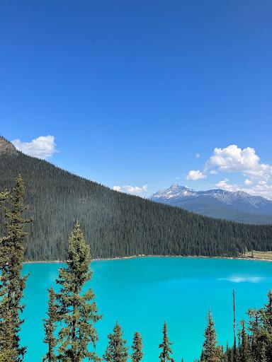 Banff National Park (Lake Louise from the Fairview Lookout Trail; Jodi DeVries)
